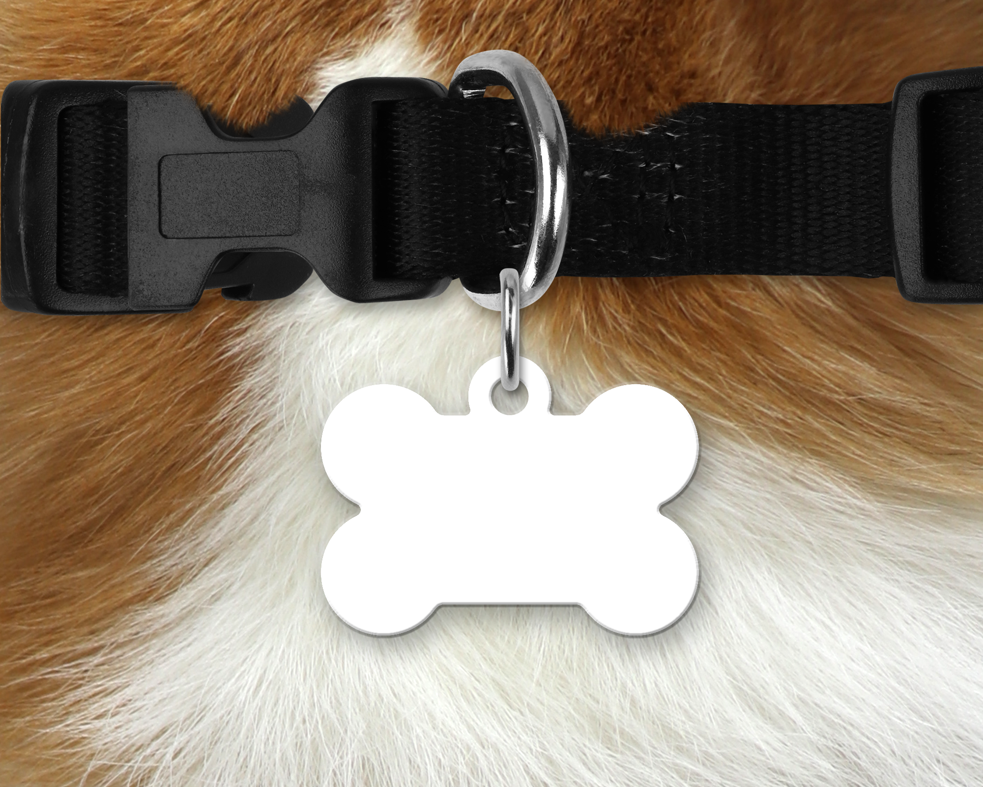 Custom Bone-shaped Dog Tag
