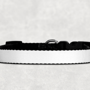 Custom Pet Collar