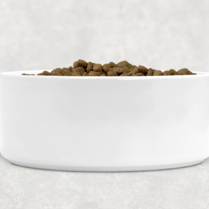 Custom Pet Bowl